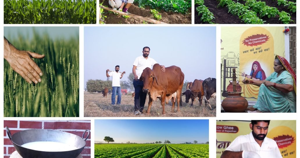 Farm Natural Photo Collage